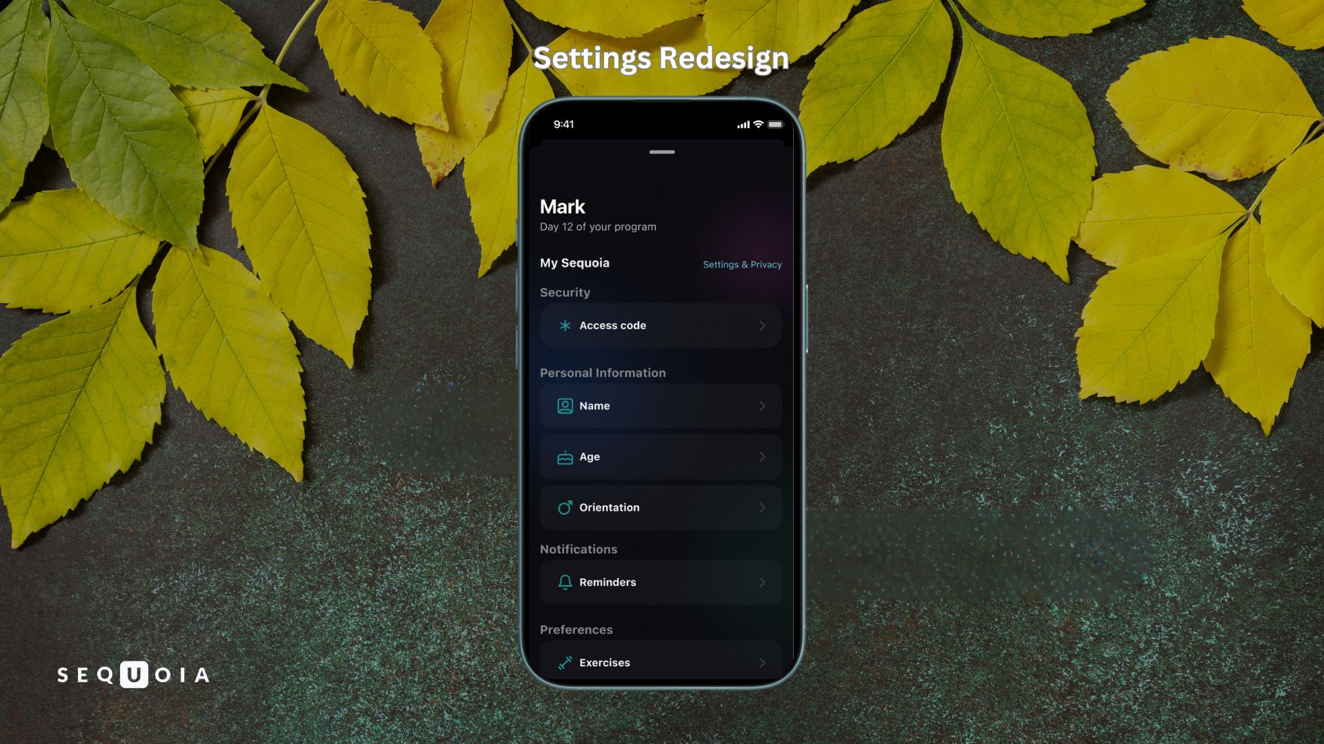 Sequoia Settings Redesign